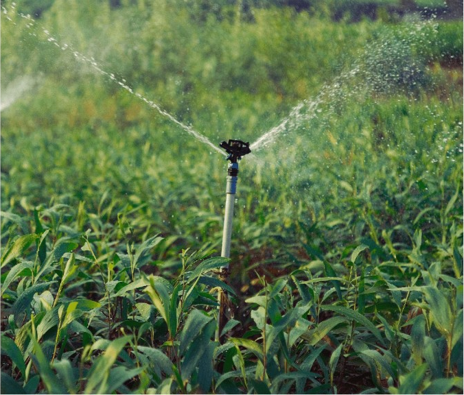 Bulk Water and Irrigation